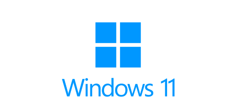 Windows 11 ISO Files